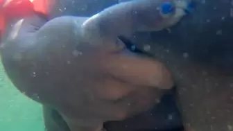Jamaican nymph finger rides her bum and vagina underwater - Anal Masturbate - Double Penetration
