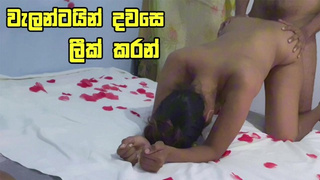 අලුත්ම හනිමූන් එක - Step Sisters Huge Bum Filled with my spunk Honeymoon Day - Sri Lanka